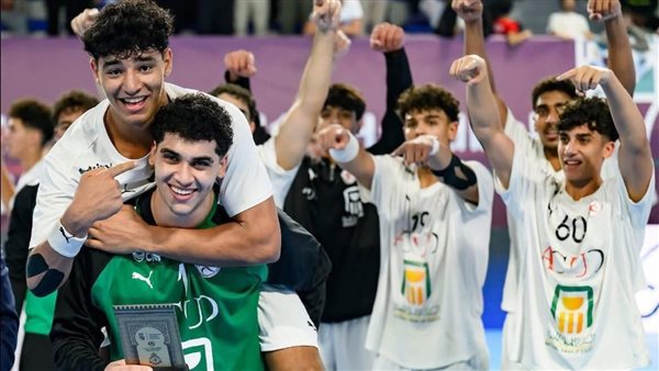 منتخب مصر ٢٠٠٨ لكرة