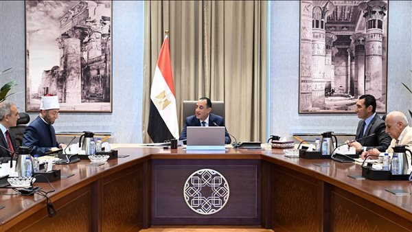 رئيس الوزراء يناقش