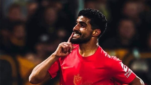 إبراهيم عادل 